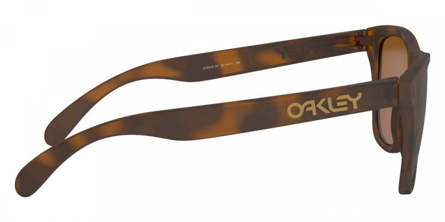 Oakley™ - Frogskins (A) OO9245