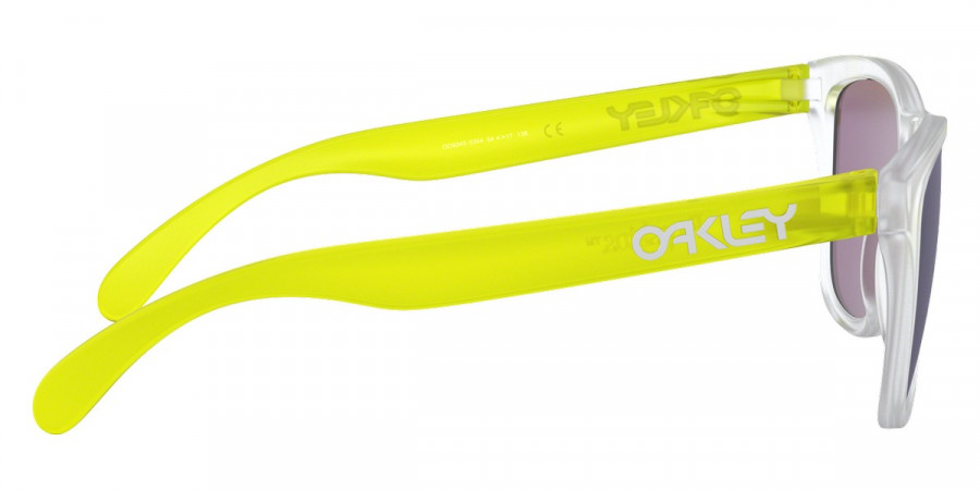 Oakley™ - Frogskins (A) OO9245