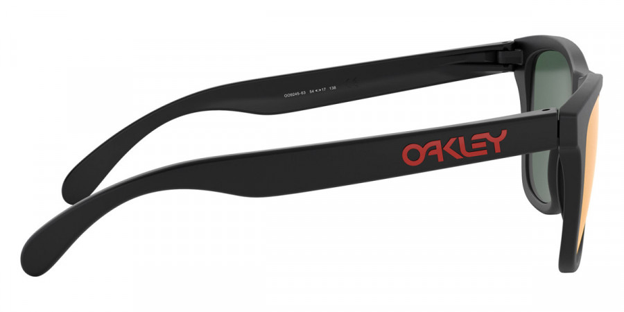 Oakley™ - Frogskins (A) OO9245