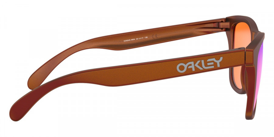 Oakley™ - Frogskins (A) OO9245