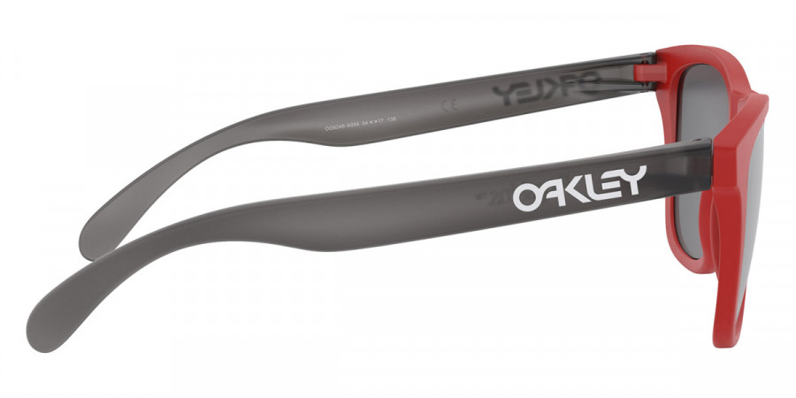 Oakley™ - Frogskins (A) OO9245