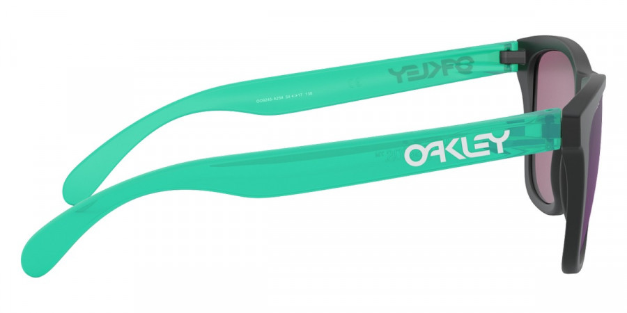 Oakley™ - Frogskins (A) OO9245