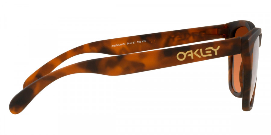 Oakley™ - Frogskins (A) OO9245