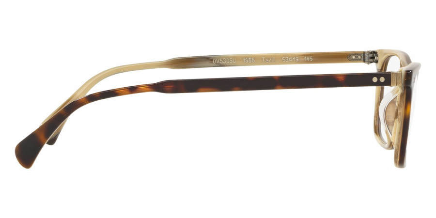 Oliver Peoples™ - Teril OV5385U