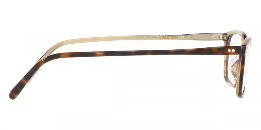 Color: 362/Horn (1666) - Oliver Peoples OV5405U166651