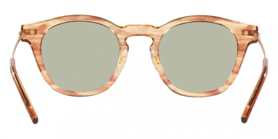 Color: Hinoki Tortoise (1744) - Oliver Peoples OV5496174449