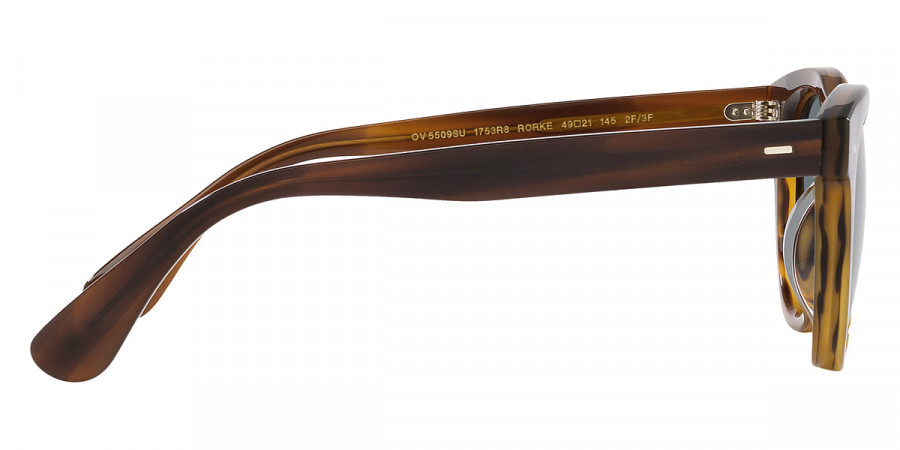 Color: Sycamore (1753R8) - Oliver Peoples OV5509SU1753R847