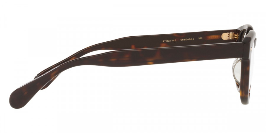 Oliver Peoples™ - Sheldrake-J OV7949