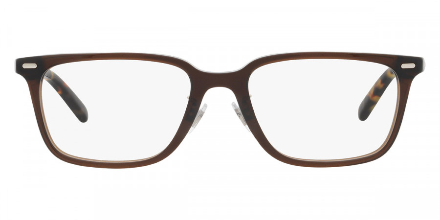 Polo™ PH2248D 5883 53 - Shiny Transp Brown and Shiny Spotty Havana