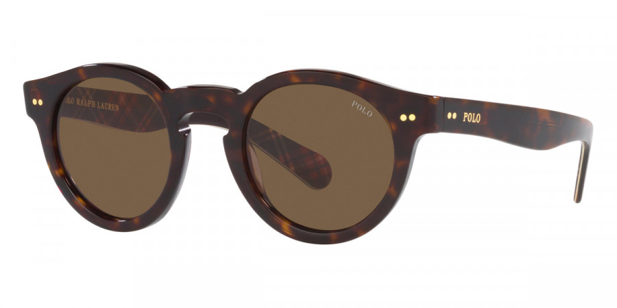 Color: Shiny Dark Havana (500373) - Polo PH416550037346