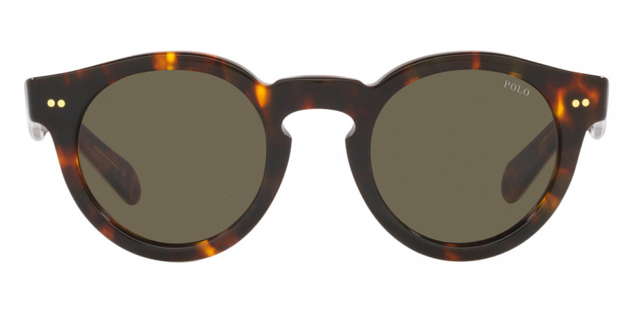 Polo™ PH4165 1245173 46 - Shiny Antique Tortoise