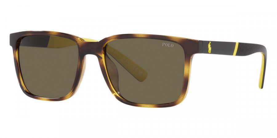 Color: Shiny Havana (1133408) - Polo PH4189U5003/355