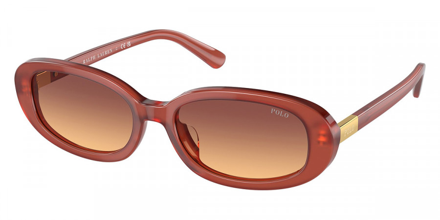 Polo™ PH4198U 619478 53 - Opal Cognac