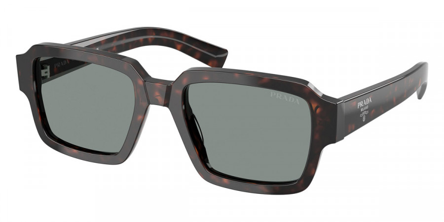 Prada PR 02ZSF 17N20N 54 - Root Tortoise