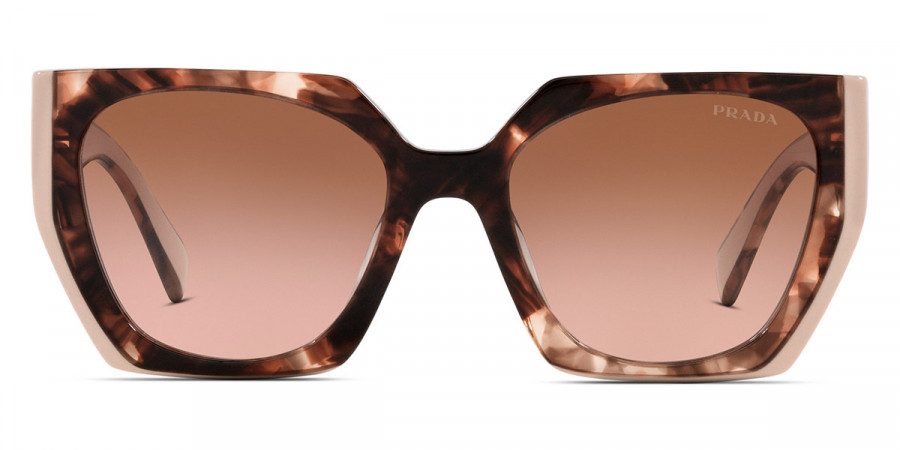 Prada™ PR 15WSF 01R0A6 55 - Tortoise Caramel/Powder