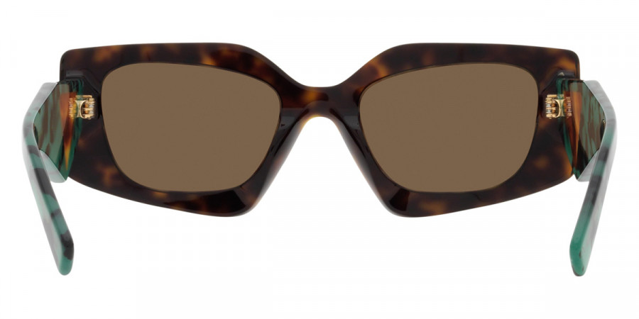 Color: Tortoise (2AU06B) - Prada PR15YS2AU06B51