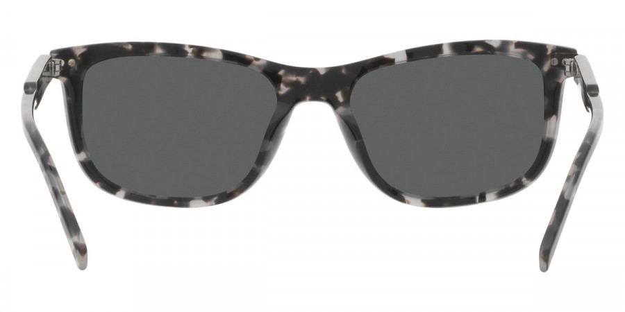 Color: Havana Gray (19A09C) - Prada PR18YS19A09C54