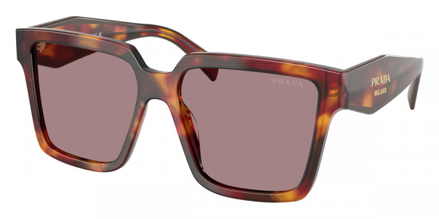 Prada PR 24ZS 22A20I 56 - Poppy Tortoise/Bordeaux