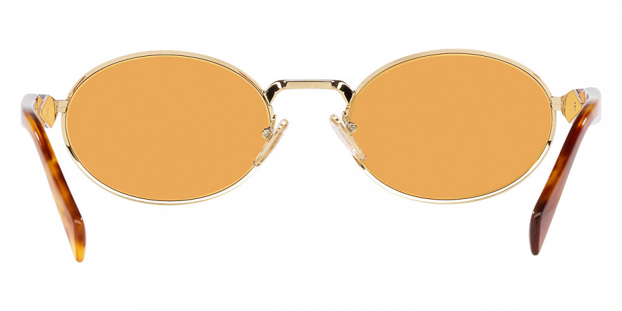 Color: Pale Gold and Light Tortoise (ZVN02Z) - Prada PR65ZSZVN02Z55