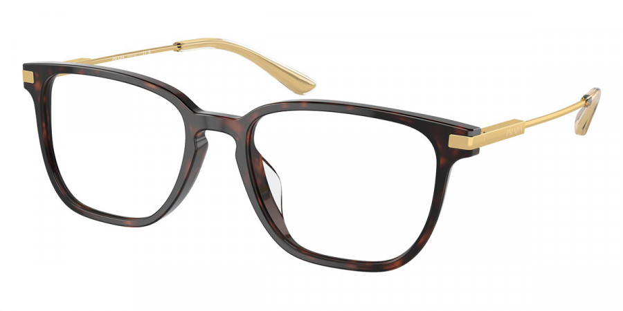 Color: Briar Tortoise/Gold (16N1O1) - Prada PRA12VD16N1O154