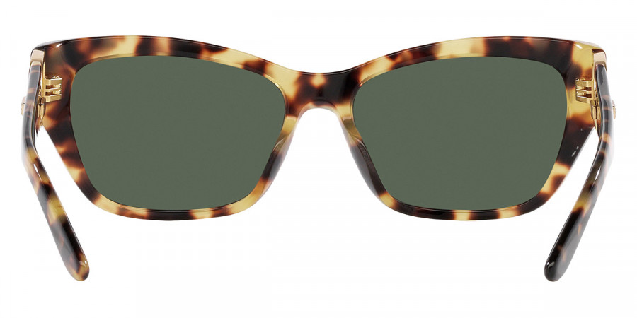 Color: Havana (500471) - Ralph Lauren RL8206U50047157