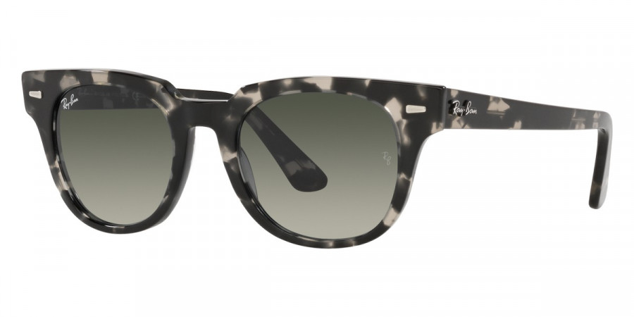 Ray-Ban™ - Meteor RB2168