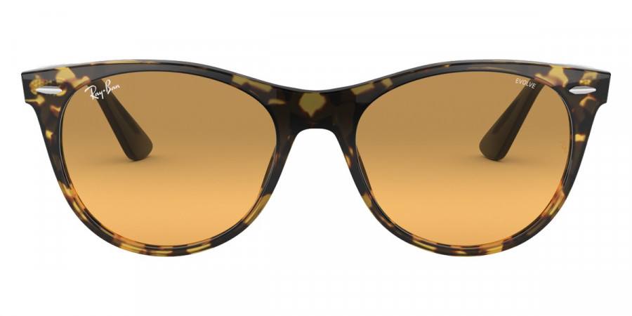 Ray-Ban™ - Wayfarer Ii RB2185