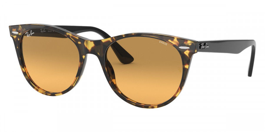 Ray-Ban™ - Wayfarer Ii RB2185