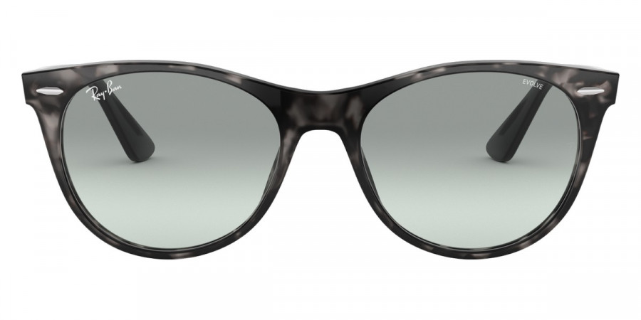 Ray-Ban™ - Wayfarer Ii RB2185