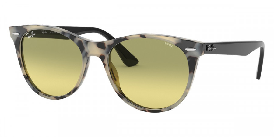 Ray-Ban™ - Wayfarer Ii RB2185