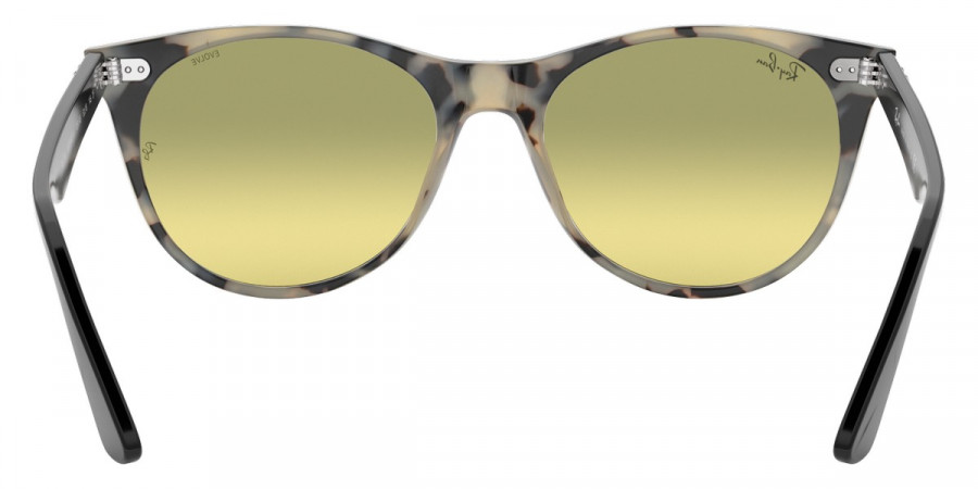 Ray-Ban™ - Wayfarer Ii RB2185