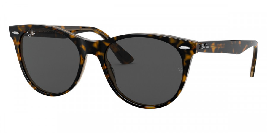 Ray-Ban™ - Wayfarer Ii RB2185