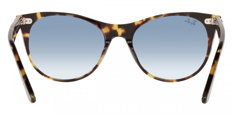 Ray-Ban™ - Wayfarer Ii RB2185