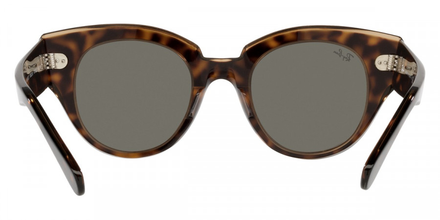 Ray-Ban™ - Roundabout RB2192