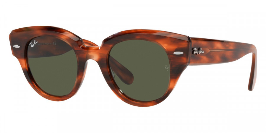 Ray-Ban™ - Roundabout RB2192