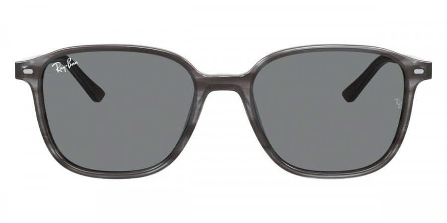 Ray-Ban™ - Leonard RB2193