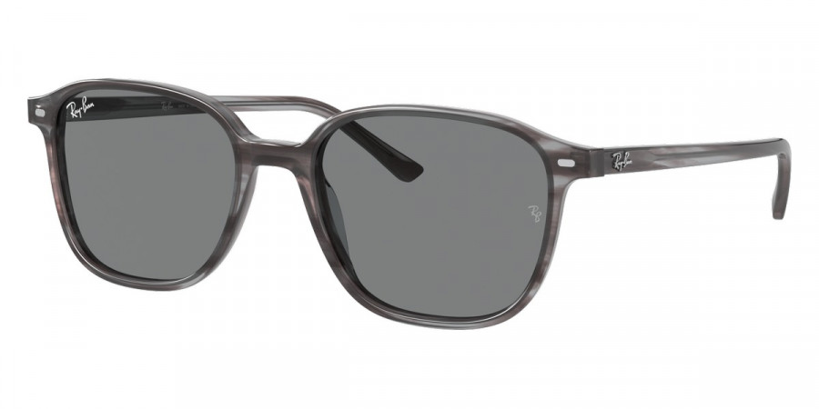 Ray-Ban™ - Leonard RB2193