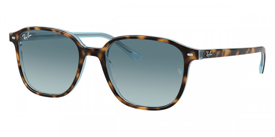 Ray-Ban™ - Leonard RB2193