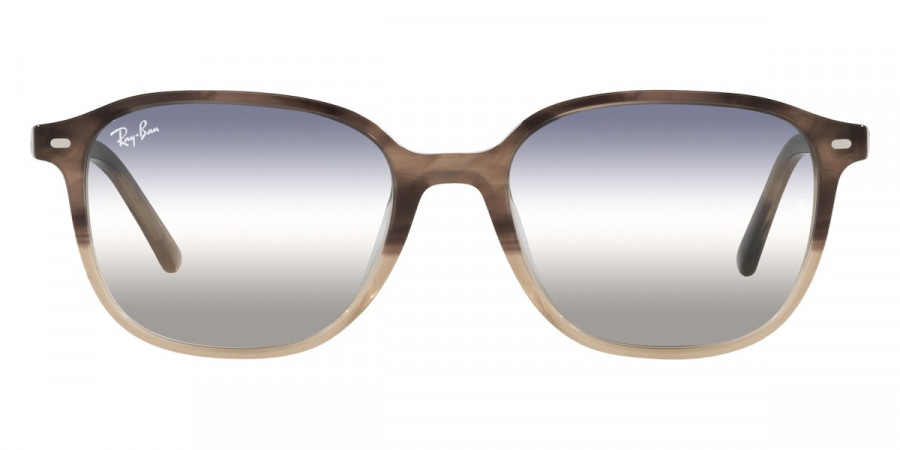 Ray-Ban™ - Leonard RB2193