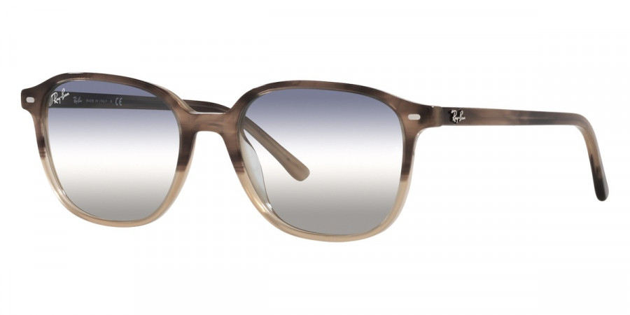 Ray-Ban™ - Leonard RB2193