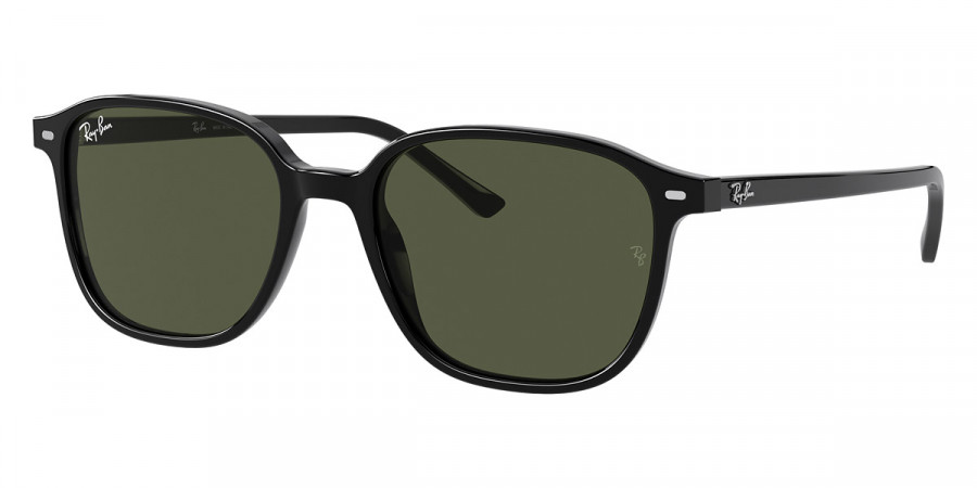 Color: Black (901/31) - Ray-Ban RB2193901/3155