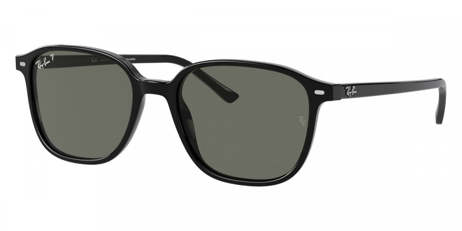 Ray-Ban™ - Leonard RB2193