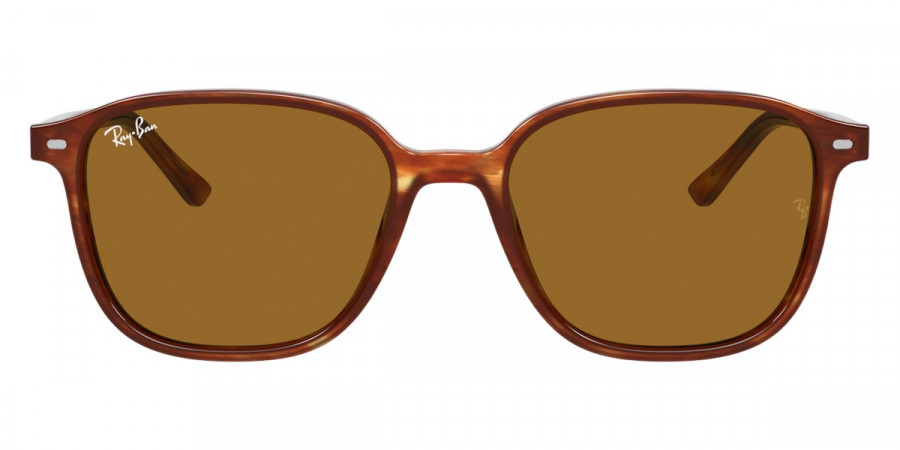 Ray-Ban™ Leonard RB2193 954/33 51 - Striped Havana