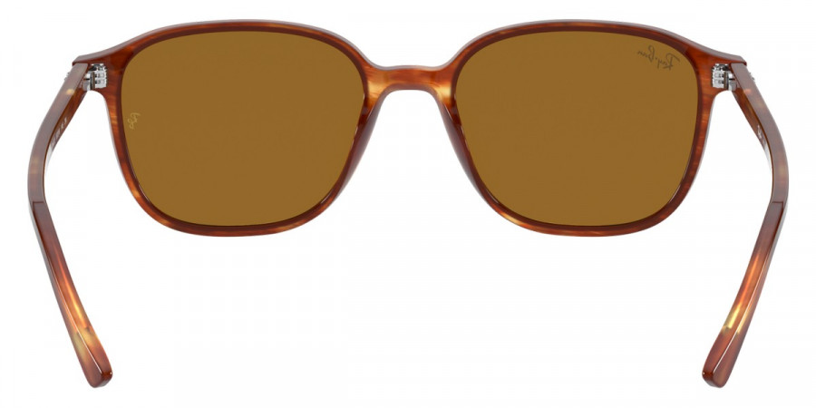 Ray-Ban™ - Leonard RB2193