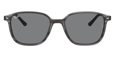 Ray-Ban™ Leonard RB2193F 1326GE 55 Gradient Gray Havana Sunglasses