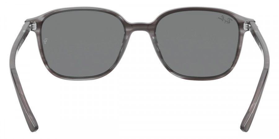 Ray-Ban™ - Leonard RB2193F