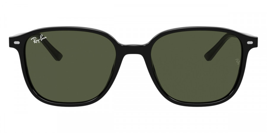 Ray-Ban™ - Leonard RB2193F