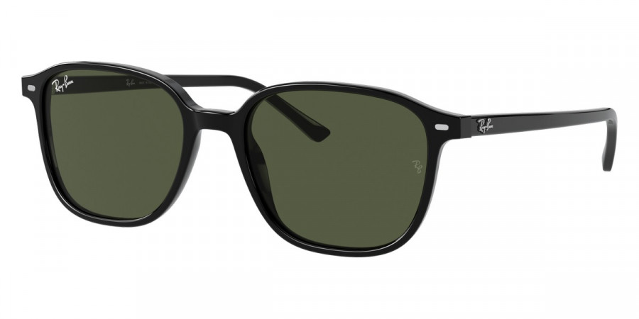 Ray-Ban™ - Leonard RB2193F