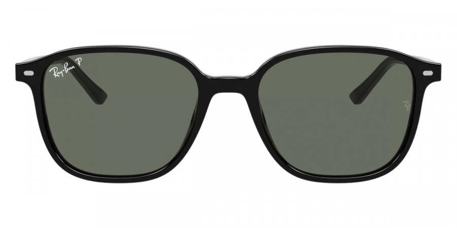 Ray-Ban™ - Leonard RB2193F