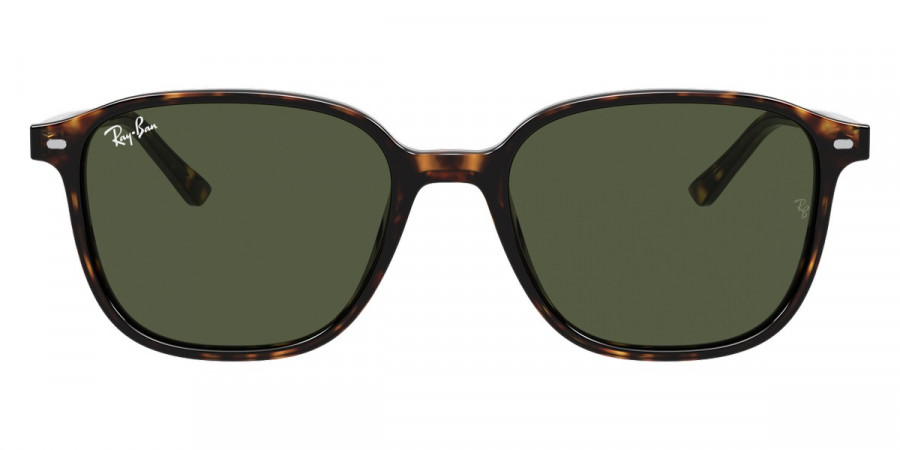 Ray-Ban™ - Leonard RB2193F